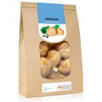 MycoMedica Hericium korálovec ježatý sušený 100 g – Zboží Dáma