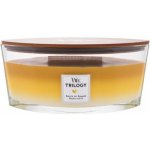 WoodWick Trilogy Fruits of Summer 453,6 g – Hledejceny.cz