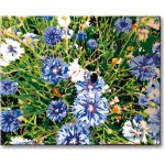 Zuty Malování podle čísel CHRPY MODRÉ – Zboží Dáma