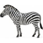 Collecta Divoká zvírátka zebra – Hledejceny.cz