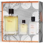 Hermés Terre D'Hermés EDT 100 ml + EDT 12,5 ml + balzám po holení 40 ml dárková sada – Hledejceny.cz