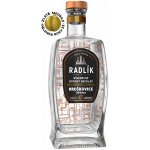 Palírna Radlík Hruškovice Williams 45% 0,5 l (holá láhev) – Zboží Dáma