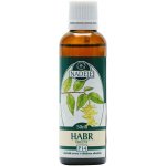 Naděje Habr tinktura z pupenů 50 ml – Hledejceny.cz