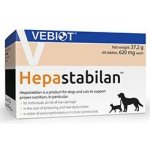 Hepastabilan pro psy a kočky 60 tbl – Hledejceny.cz