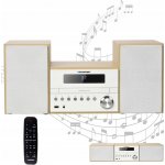 BLAUPUNKT MS45BT – Zboží Živě