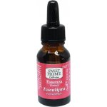 Sweet Home Eucaliptus Eukalyptus vonná esence 15 ml – Hledejceny.cz