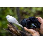 Panasonic Lumix DC-S1RM2 – Hledejceny.cz