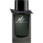 Burberry Mr. Burberry parfémovaná voda pánská 100 ml – Hledejceny.cz