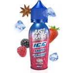 Just Juice Shake & Vape ICE Wild Berries & Aniseed 10 ml – Hledejceny.cz