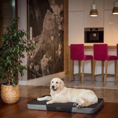 DOGGY Ortopedická matrace pro psa – Hledejceny.cz