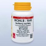 WCH6.9 buzhong yiqi tang pian 36 tablet – Hledejceny.cz