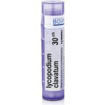 LYCOPODIUM CLAVATUM POR 30CH GRA 1X4G – Hledejceny.cz