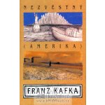 Nezvěstný - Amerika – Hledejceny.cz