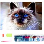 Norimpex Diamantové malování Kočičí magie 30 x 40 cm – Hledejceny.cz