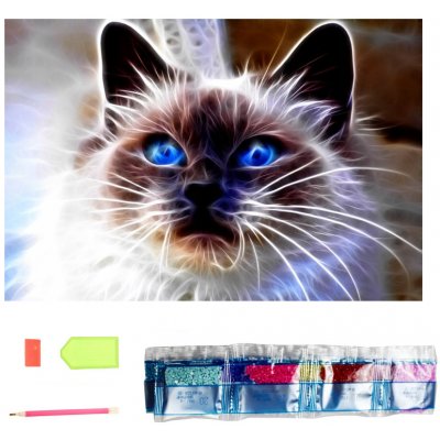 Norimpex Diamantové malování Kočičí magie 30 x 40 cm – Hledejceny.cz