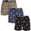 Boxerky, trenky, slipy, tanga Horsefeathers 3 PACK pánské trenky Frazier Bundle 6 (AM096I)