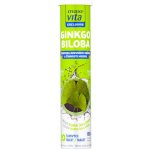 MaxiVita Exclusive Ginkgo biloba 20 tablet – Hledejceny.cz