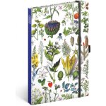 Kateřina Winterová Notes Bylinky tečkovaný 13 x 21 cm – Hledejceny.cz