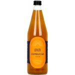 Loklok Kombucha Zázvor 0,75 l – Hledejceny.cz