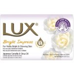Lux mýdlo Bright Impress 80 g – Zboží Dáma