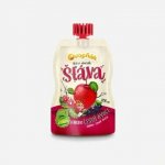 Ovocnák Mošt jablko a lesní ovoce 200 ml – Zboží Dáma