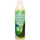 Pacifica sprchový gel Waikiki Pikake 236 ml