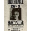 The Art Printorium Ltd Blahopřání Harry Potter 3D - Ministry Undesirable No.1