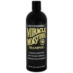Chris Christensen Rozčesávací šampon Ice on Ice s arganovým 473 ml – Zboží Dáma