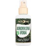 Purity Vision Bio Borovicová voda 100 ml – Hledejceny.cz