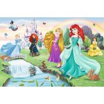 TREFL Seznamte se s Disney princeznami 60 dílků – Hledejceny.cz