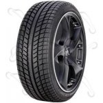 Tigar Cargo Speed Winter 205/65 R16 107R – Hledejceny.cz