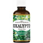 Saloos esenciální olej Eukalyptus - Čína 50 ml – Hledejceny.cz