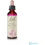 Bachovy květové esence Kaštan jedlý Sweet Chestnut 20 ml – Hledejceny.cz