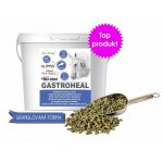 Dromy Gastroheal 6 kg – Sleviste.cz