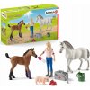 Figurka Schleich 42486 Návštěva lékaře u klisny a hříběte