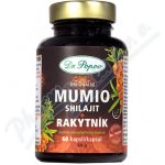 Dr. Popov Mumio Shilajit s rakytníkem 60 kapslí – Hledejceny.cz
