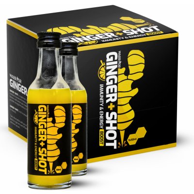 Warrior Ginger Shot Zázvorový Shot 50 ml – Zboží Dáma
