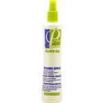 Profix Organics sprej s olivovým olejem na copánky dready a příčesky 355 ml – Hledejceny.cz