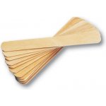 ZARYS ústní lžička dřevěná 100 ks – Hledejceny.cz