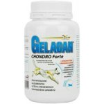 Orling - Chondrocan Forte 150 g – Hledejceny.cz