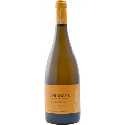 Les Vignerons de Mancey Bourgogne Chardonnay AOC 2020 12,5% 0,75 l (holá láhev) – Zboží Mobilmania