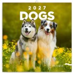 poznámkový Psi 30 x 30 cm 2027 – Sleviste.cz