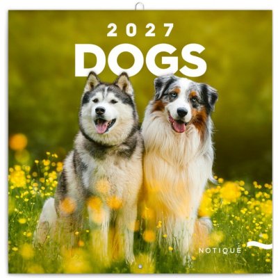 poznámkový Psi 30 x 30 cm 2027 – Sleviste.cz