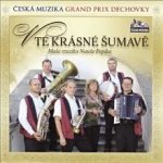 Malá muzika nauše Pepíka - V té krásné Šumavě Disk - CD – Sleviste.cz