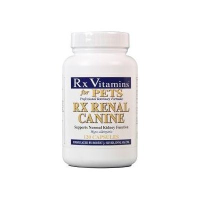 Rx Vitamins Renal Canine tablety 120 ks – Hledejceny.cz