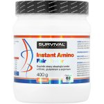 Survival Instant amino 400 g – Hledejceny.cz