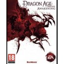 Dragon Age: Origins Awakening