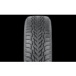 Nokian Tyres Hakkapeliitta R3 205/50 R17 93R – Hledejceny.cz