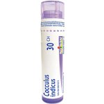 COCCULUS INDICUS POR 30CH GRA 1X4G – Hledejceny.cz
