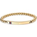 Tommy Hilfiger 2700787